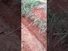 0.6 تن 0.8 تن مینی کاوشگر کاوشگر کوچک